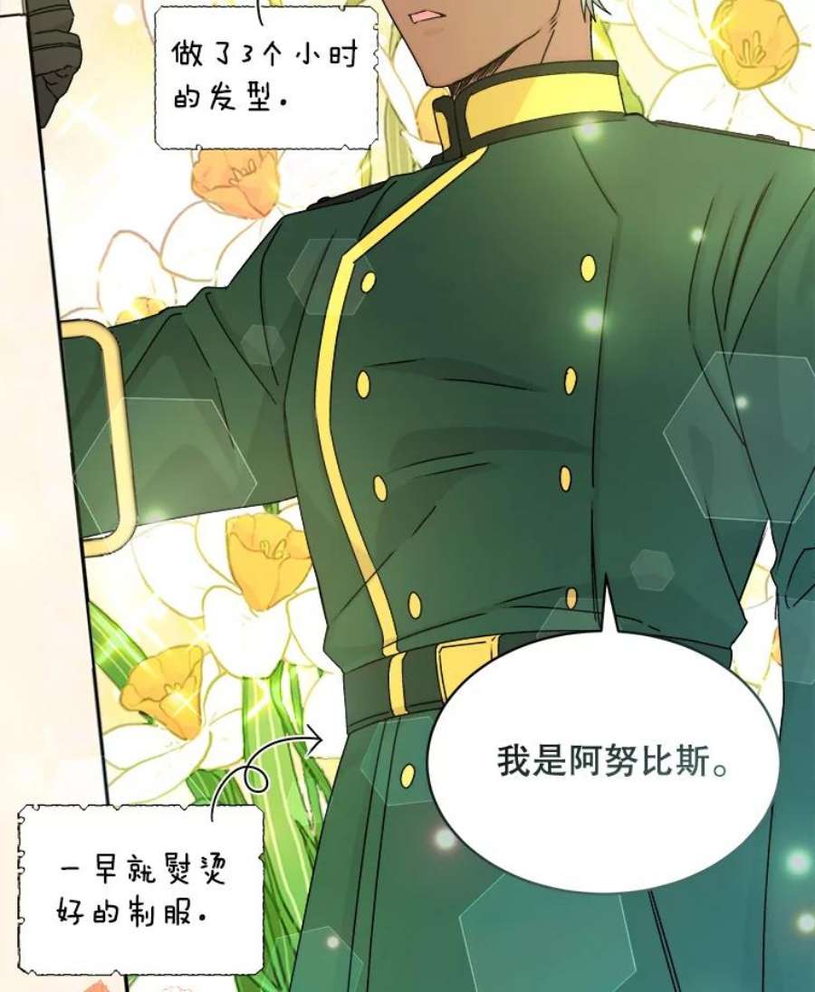 灭亡的公主6.守护骑士