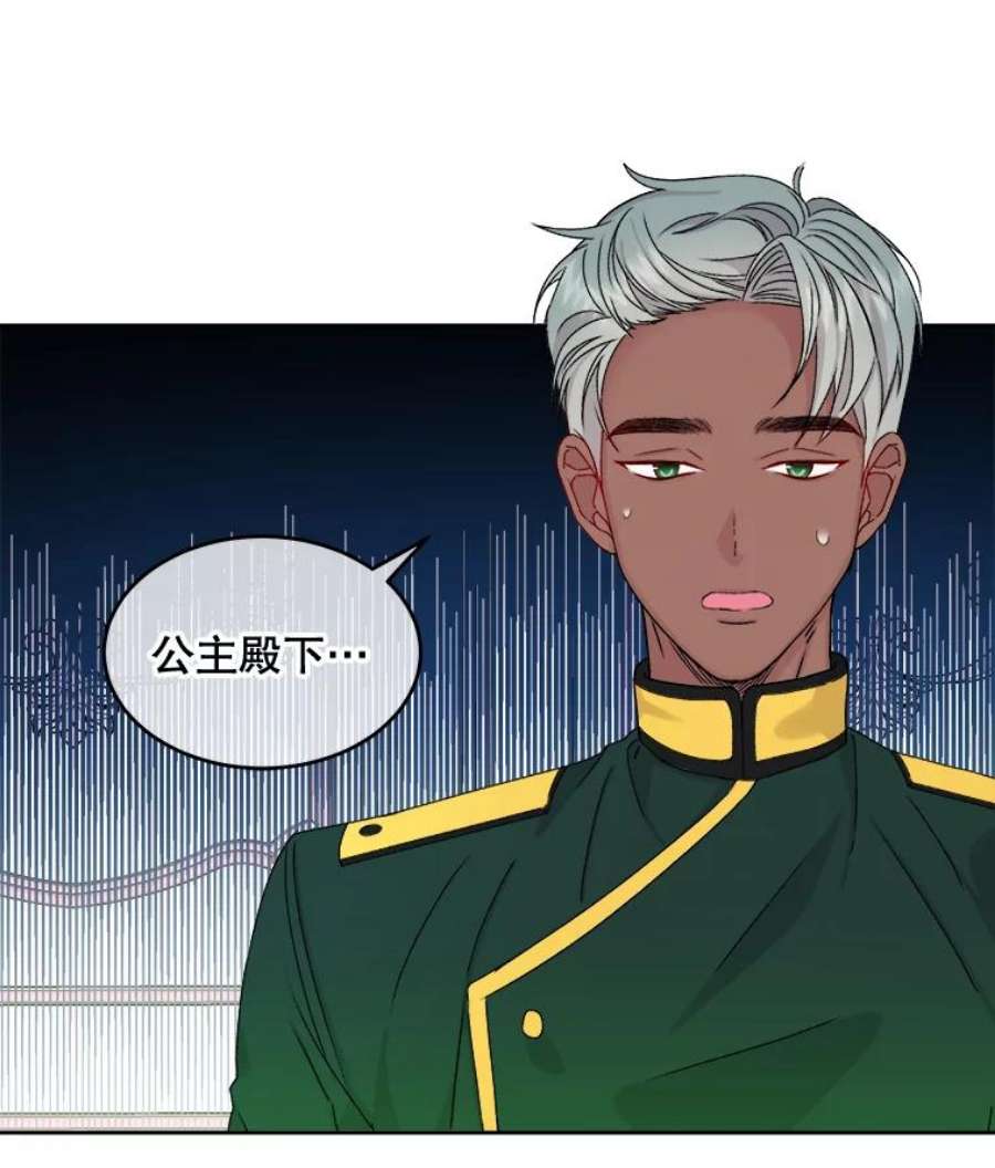 灭亡的公主6.守护骑士