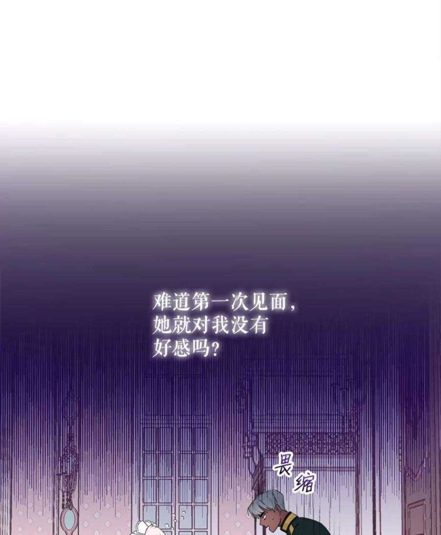 灭亡的公主6.守护骑士