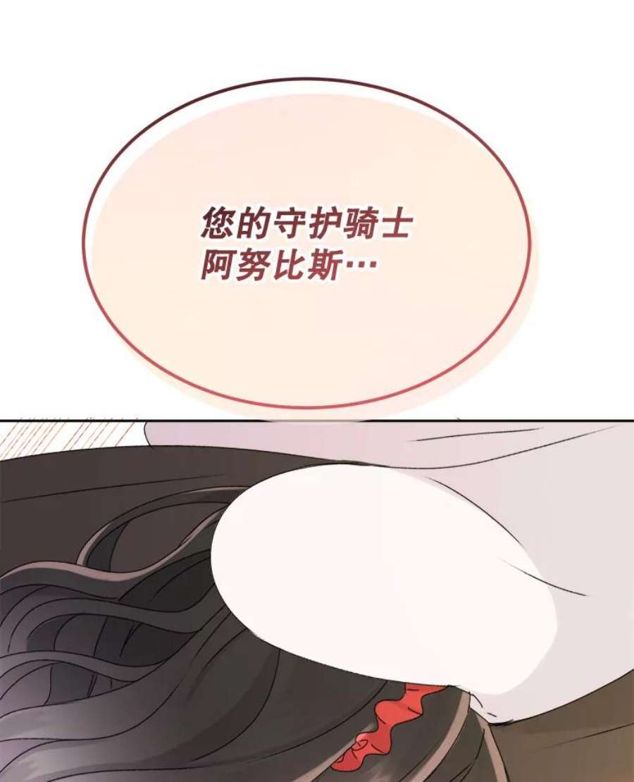 灭亡的公主6.守护骑士