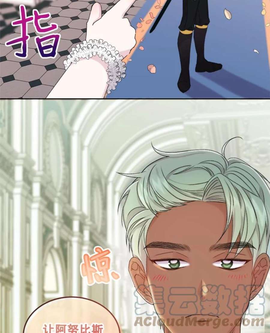 灭亡的公主6.守护骑士