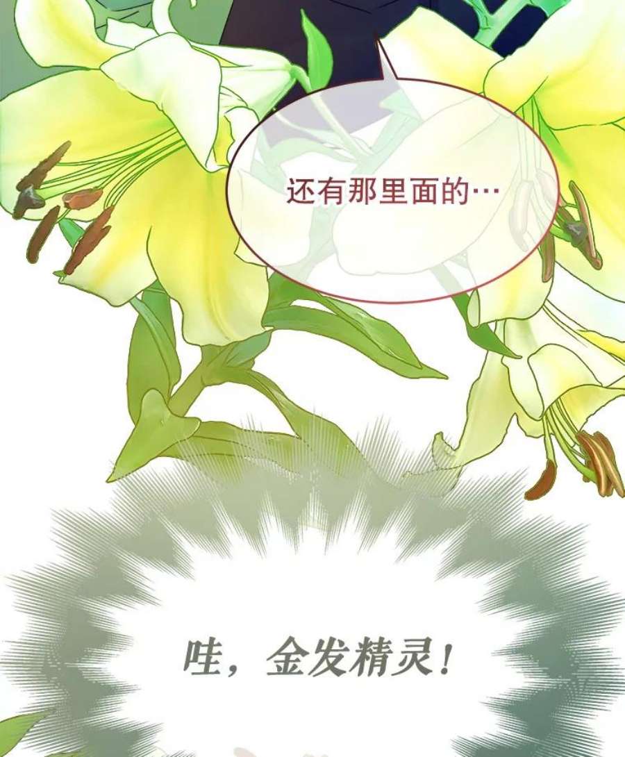 灭亡的公主15.新的家人