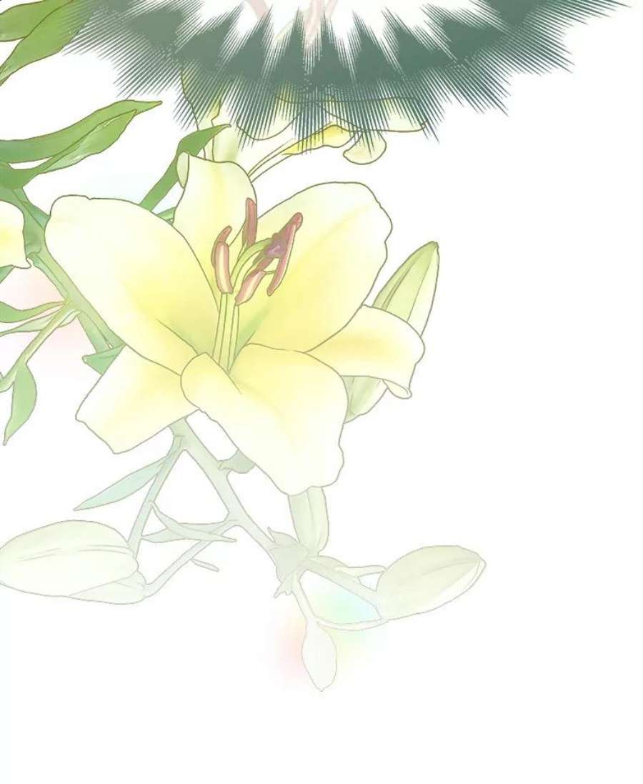 灭亡的公主15.新的家人