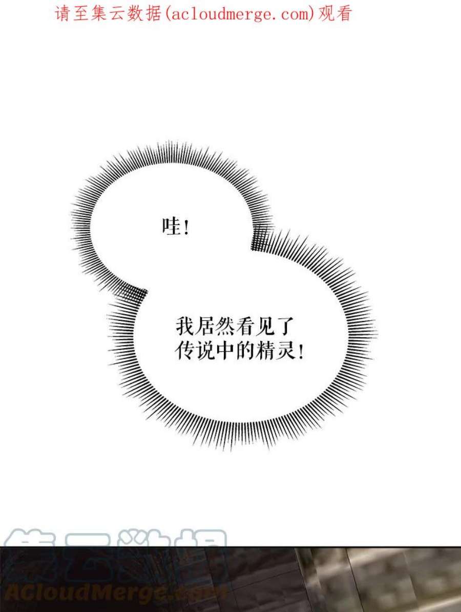 灭亡的公主16.大魔法师率林