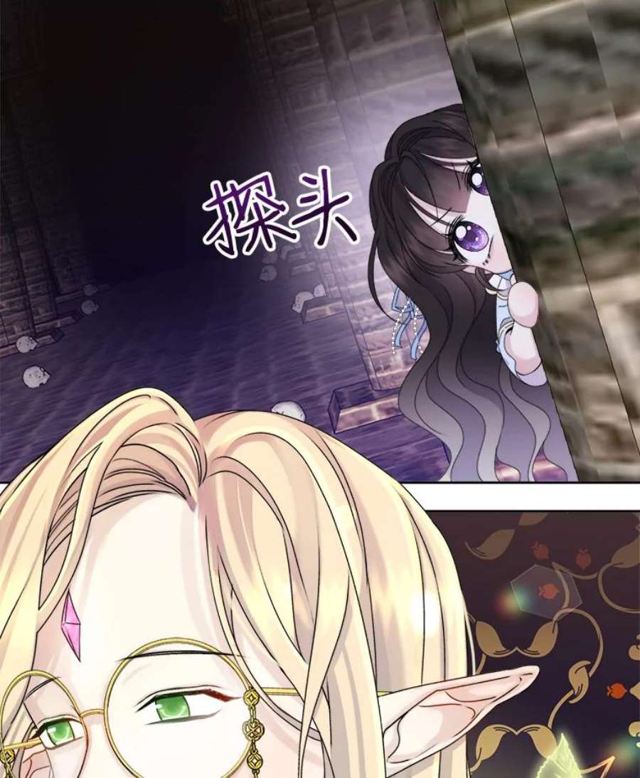 灭亡的公主16.大魔法师率林