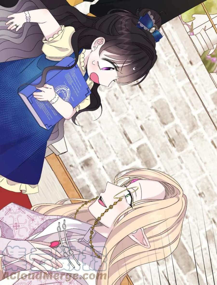 灭亡的公主16.大魔法师率林
