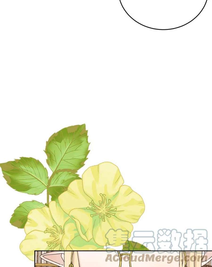 灭亡的公主21.做便当