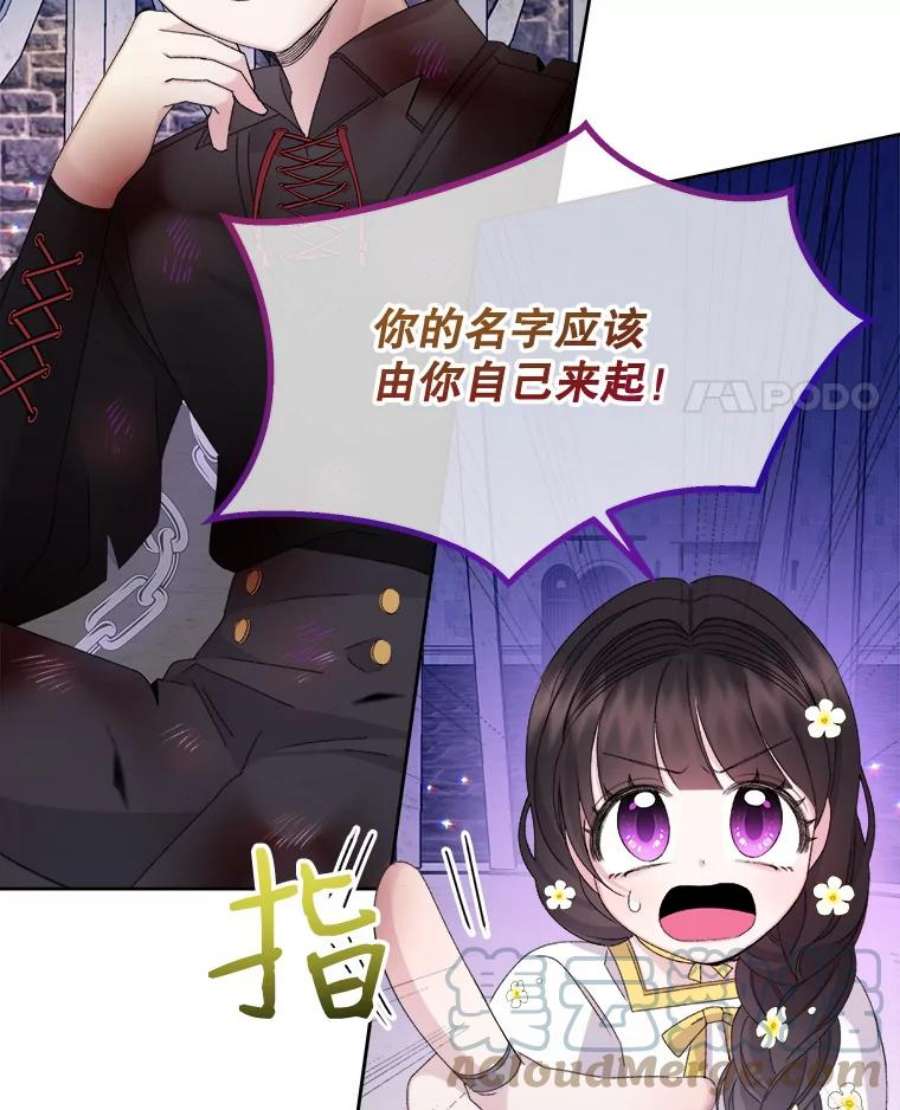 灭亡的公主23.起名字