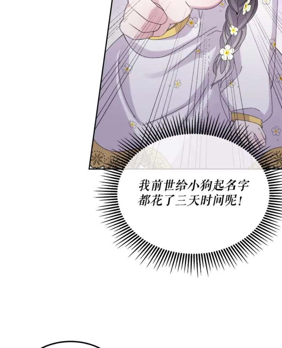 灭亡的公主23.起名字