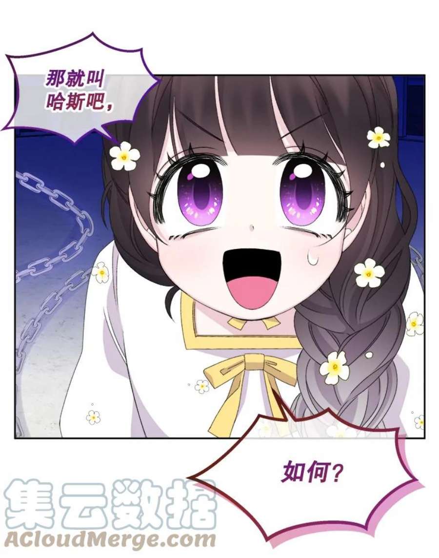 灭亡的公主23.起名字