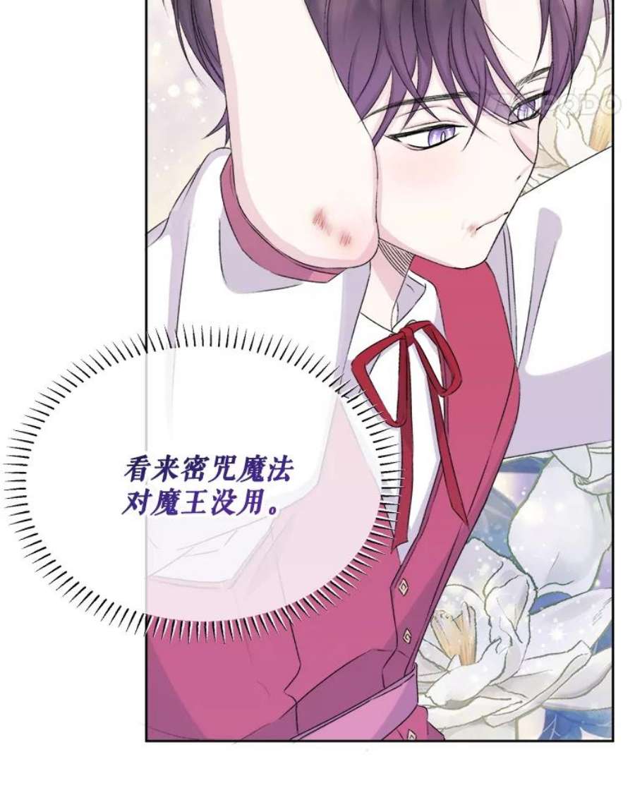 灭亡的公主29.宽容的魔王