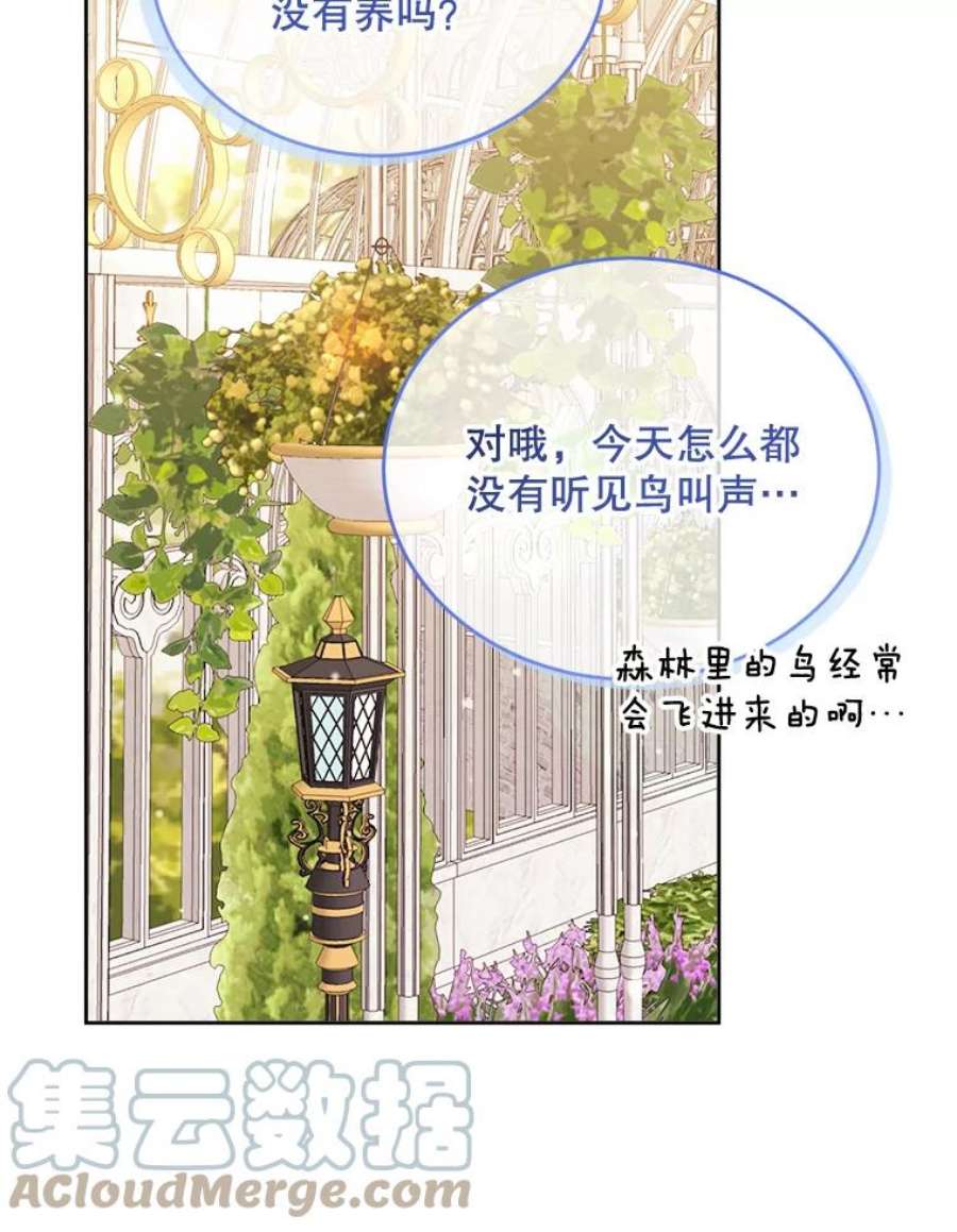 灭亡的公主32.漂亮的房间