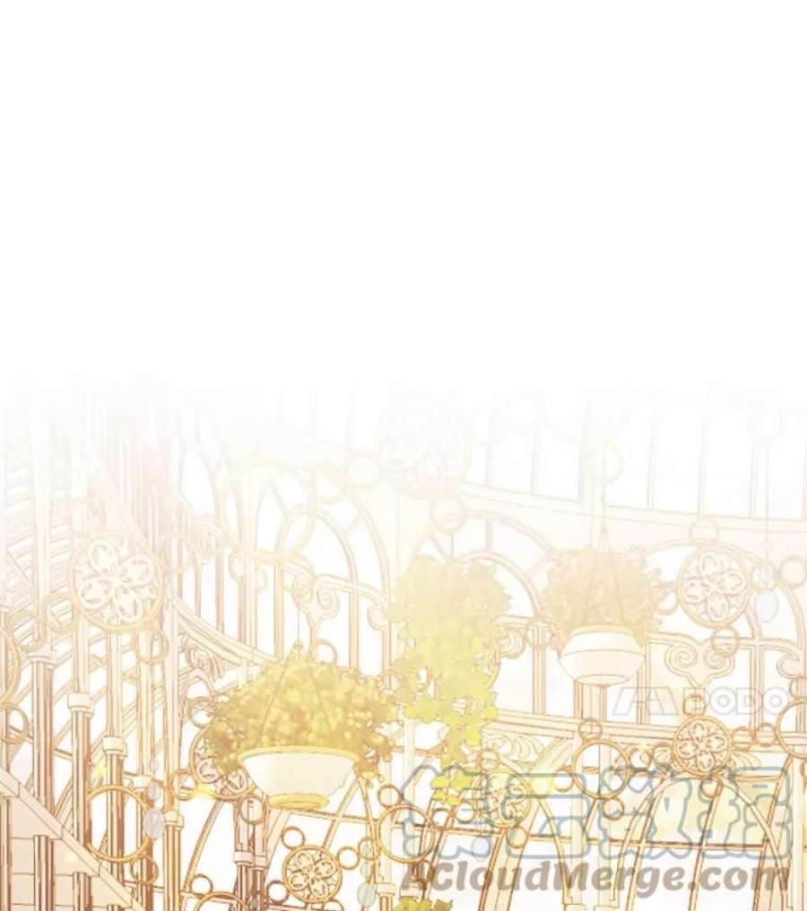 灭亡的公主33.人造太阳魔法