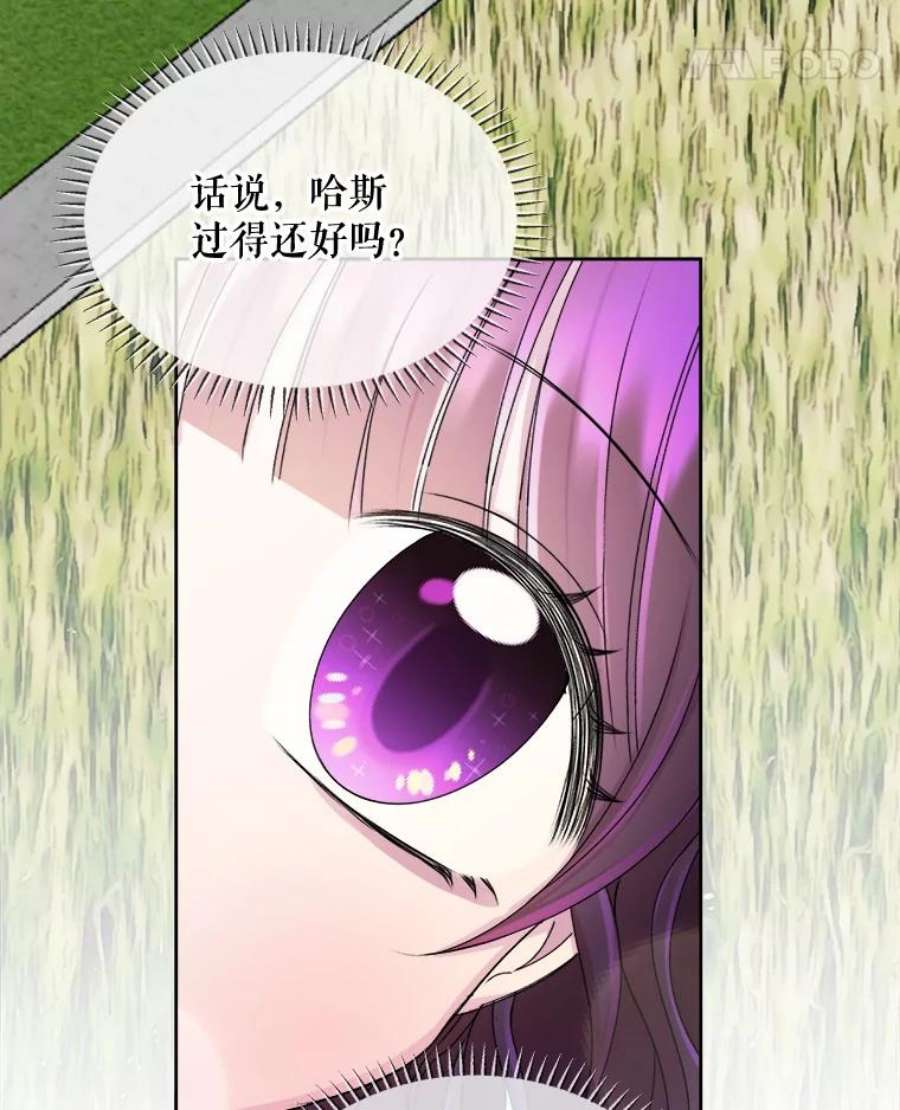 灭亡的公主42.暗黑之林