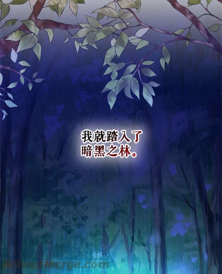 灭亡的公主42.暗黑之林