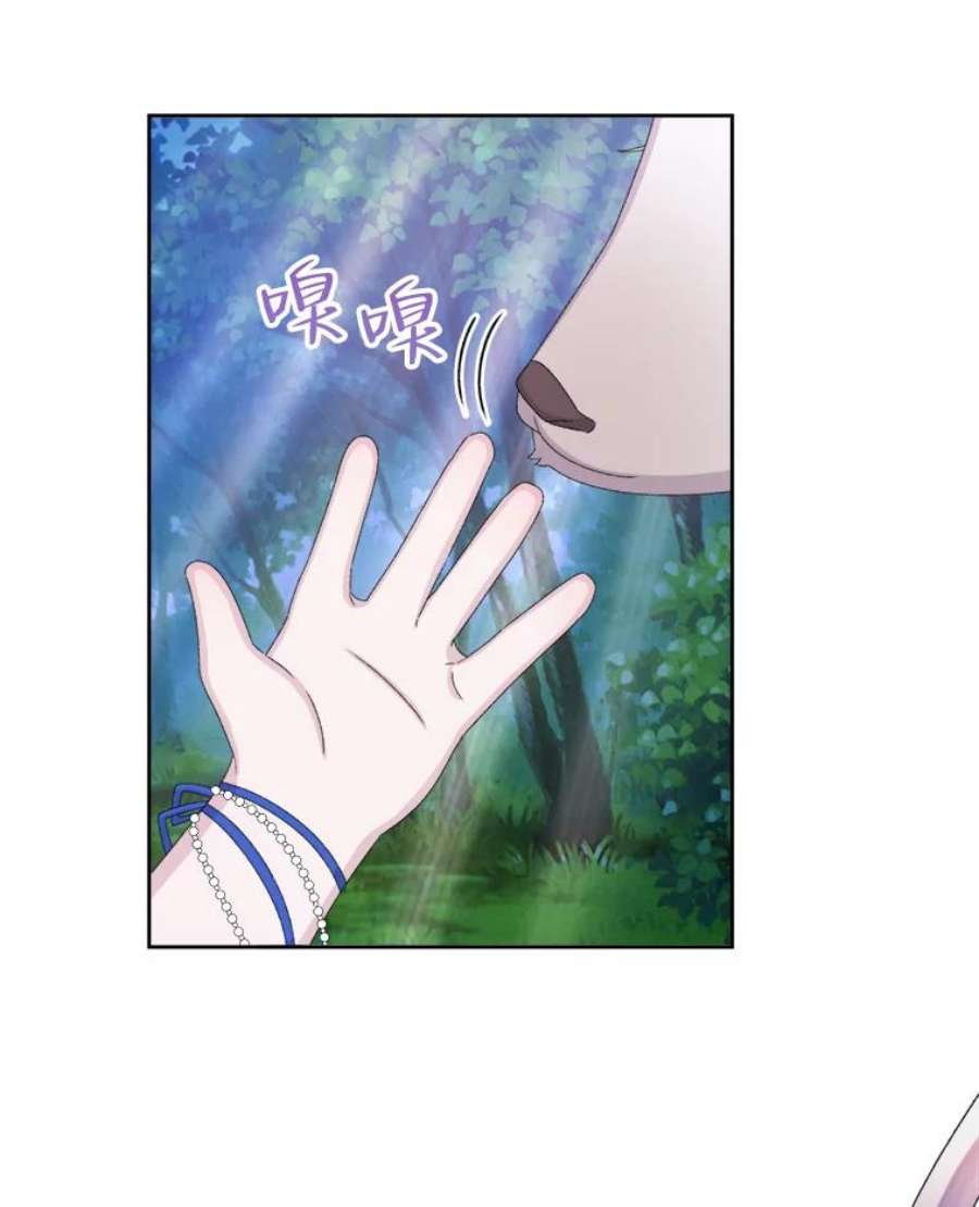 灭亡的公主42.暗黑之林