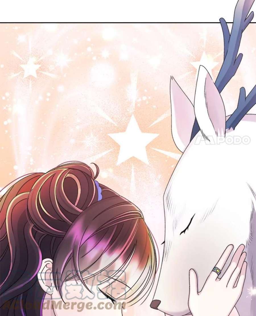 灭亡的公主42.暗黑之林