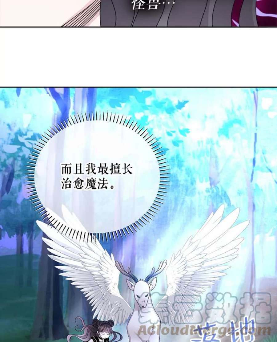 灭亡的公主42.暗黑之林