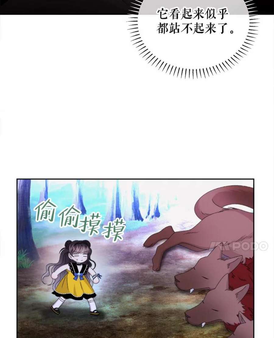 灭亡的公主42.暗黑之林