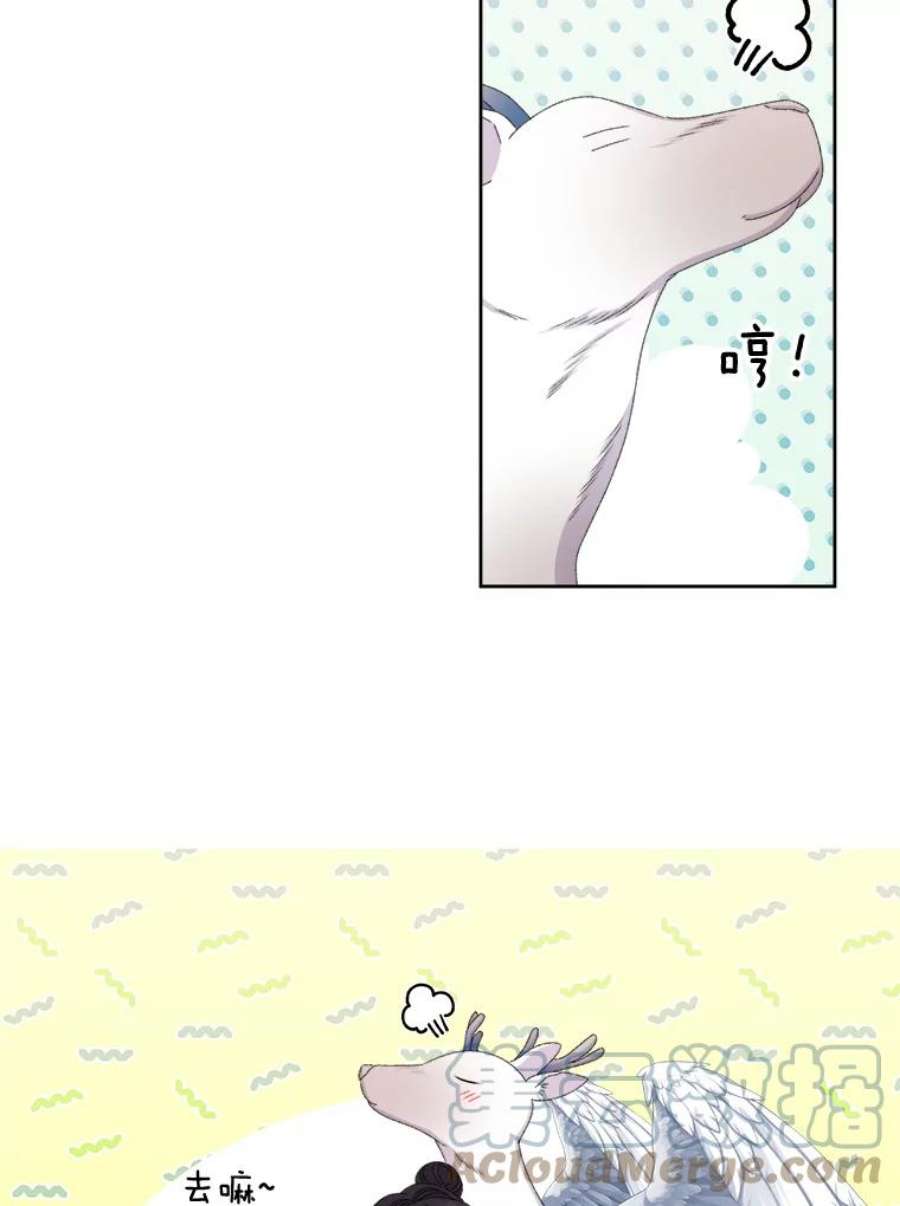 灭亡的公主42.暗黑之林