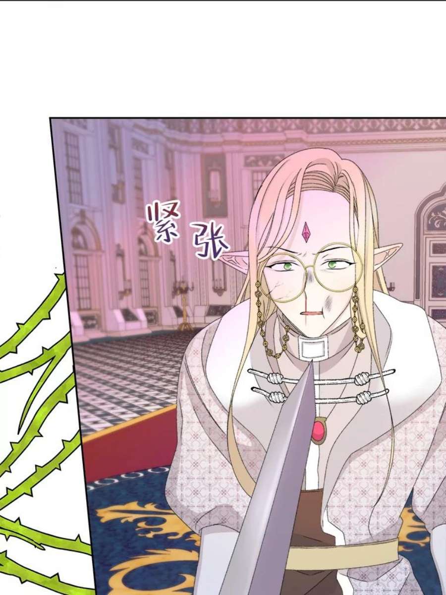 灭亡的公主43.一场危机