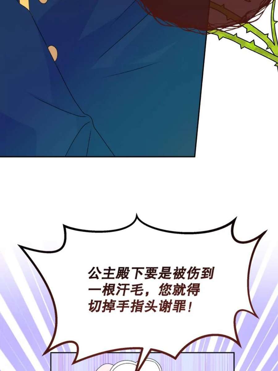 灭亡的公主43.一场危机