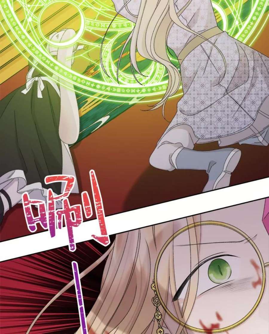 灭亡的公主43.一场危机