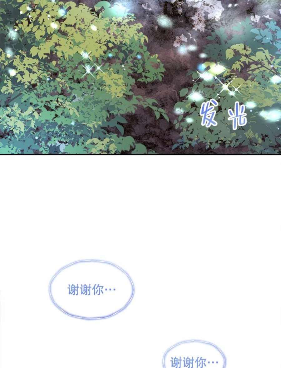 灭亡的公主43.一场危机