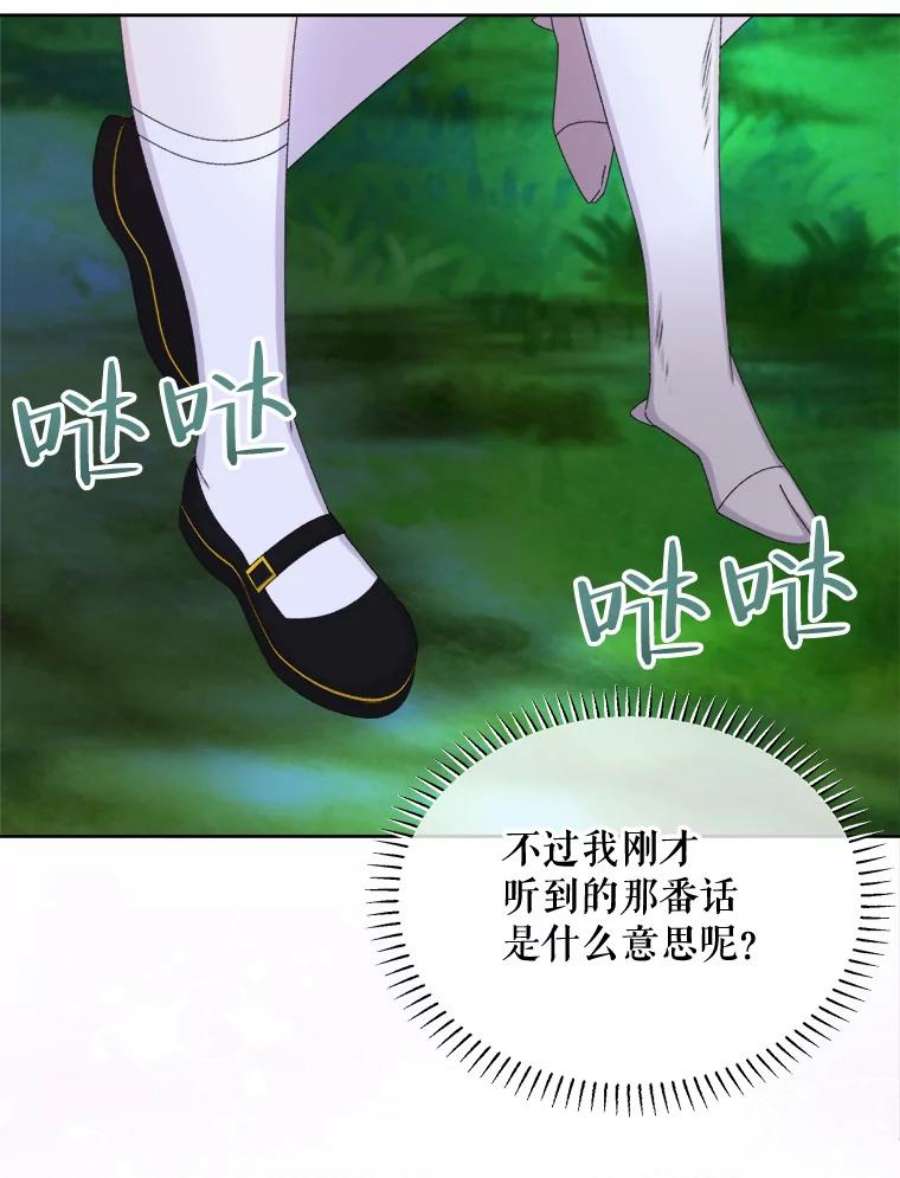 灭亡的公主43.一场危机