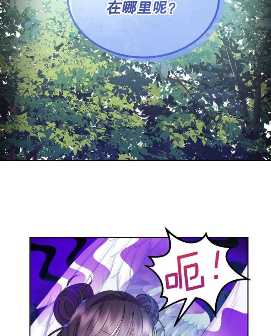 灭亡的公主43.一场危机