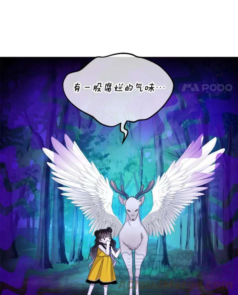 灭亡的公主43.一场危机