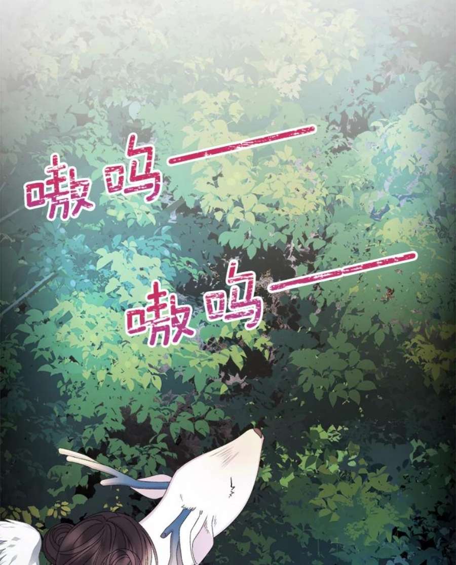 灭亡的公主43.一场危机