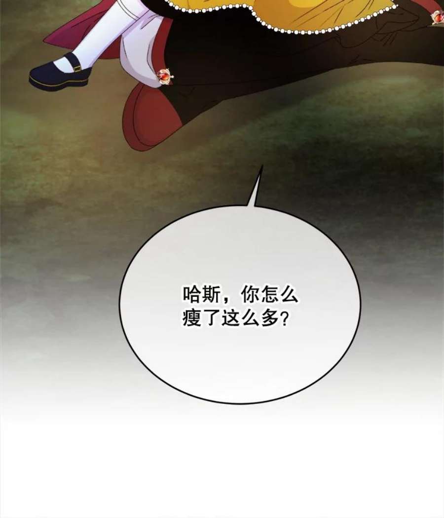 灭亡的公主44.与哈斯的约定