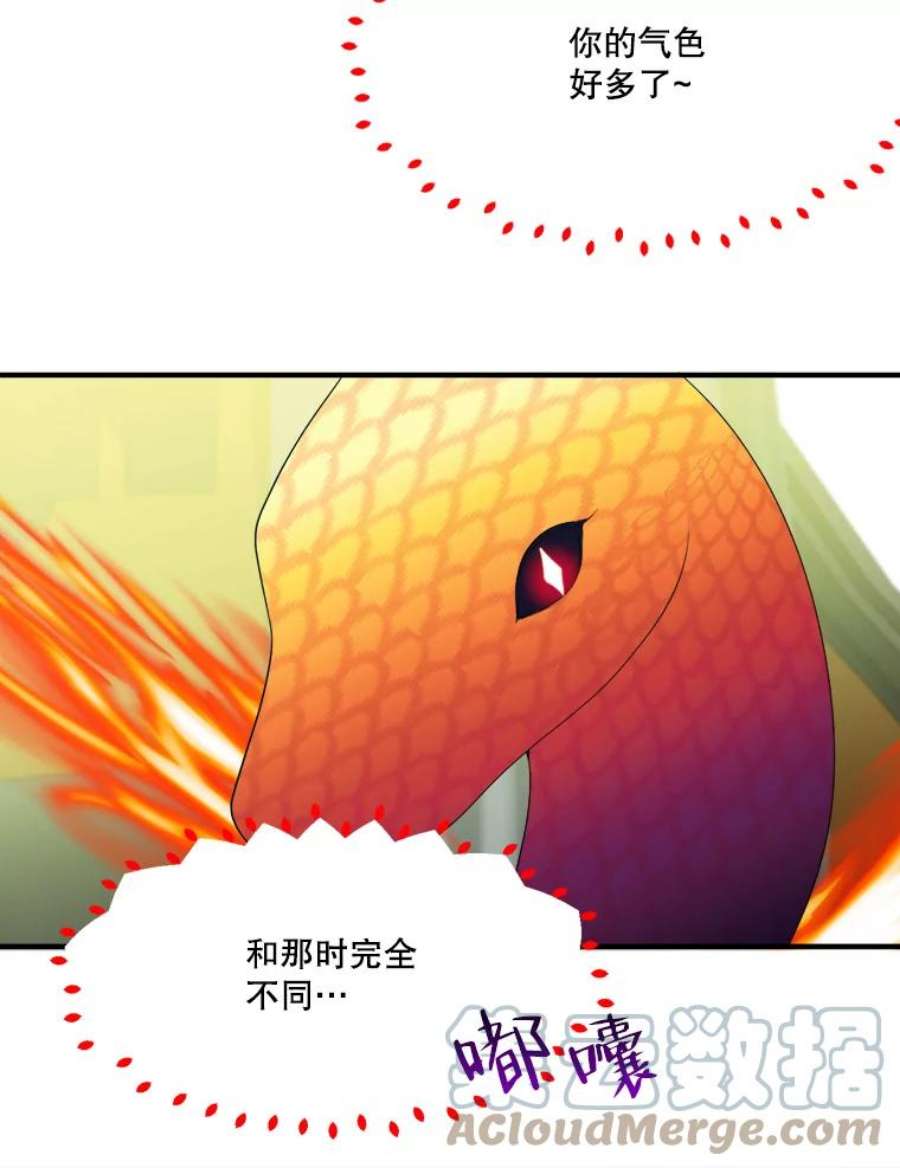 未来每步都是花路40.召唤月之大圣灵