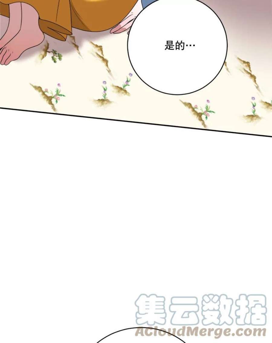 未来每步都是花路48.道谢
