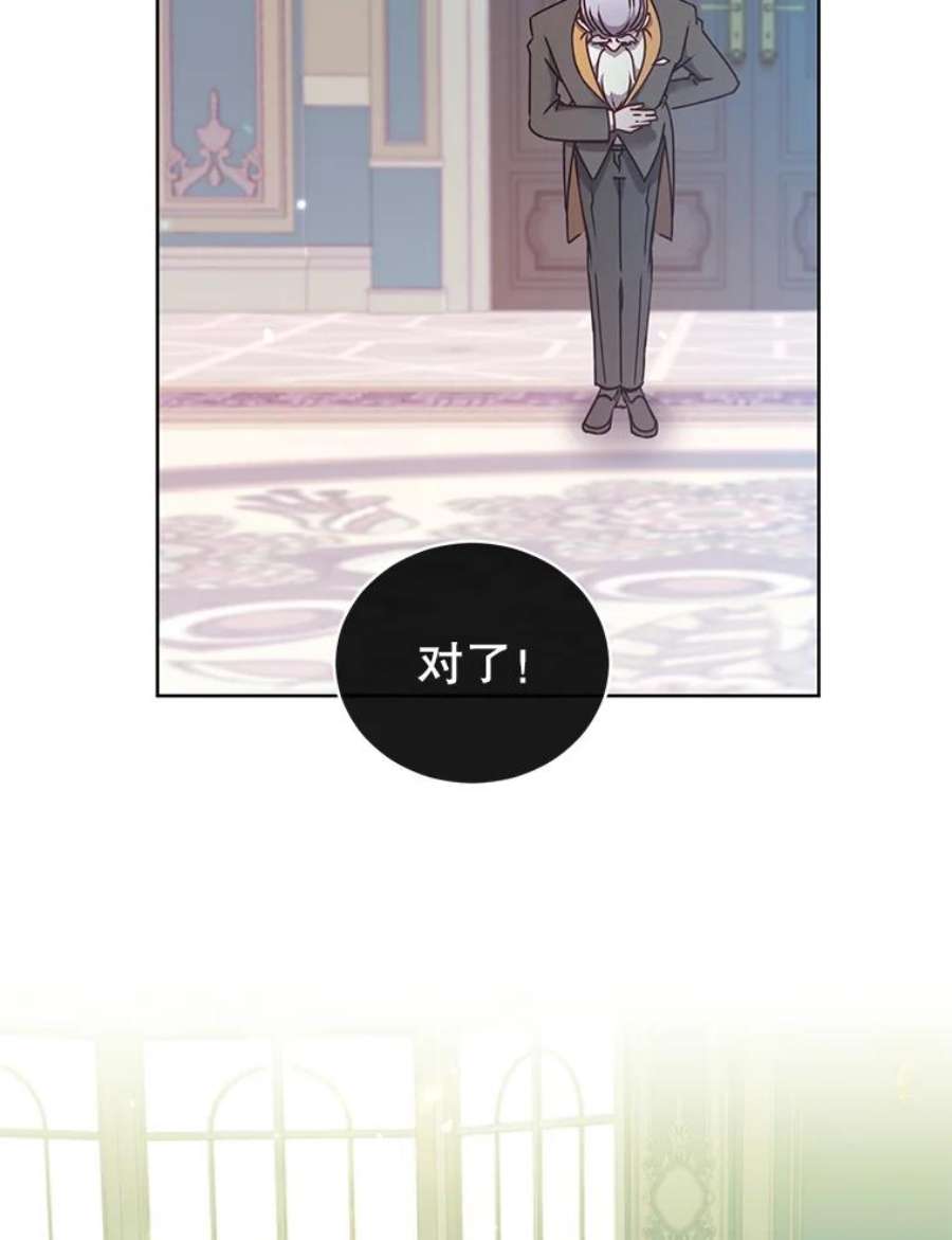 顶级英雄归来9.侍从官来访
