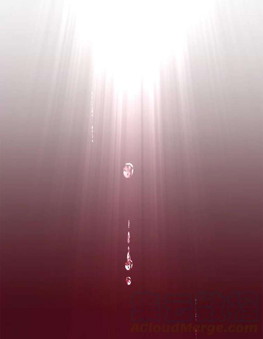 顶级英雄归来22.吸血鬼