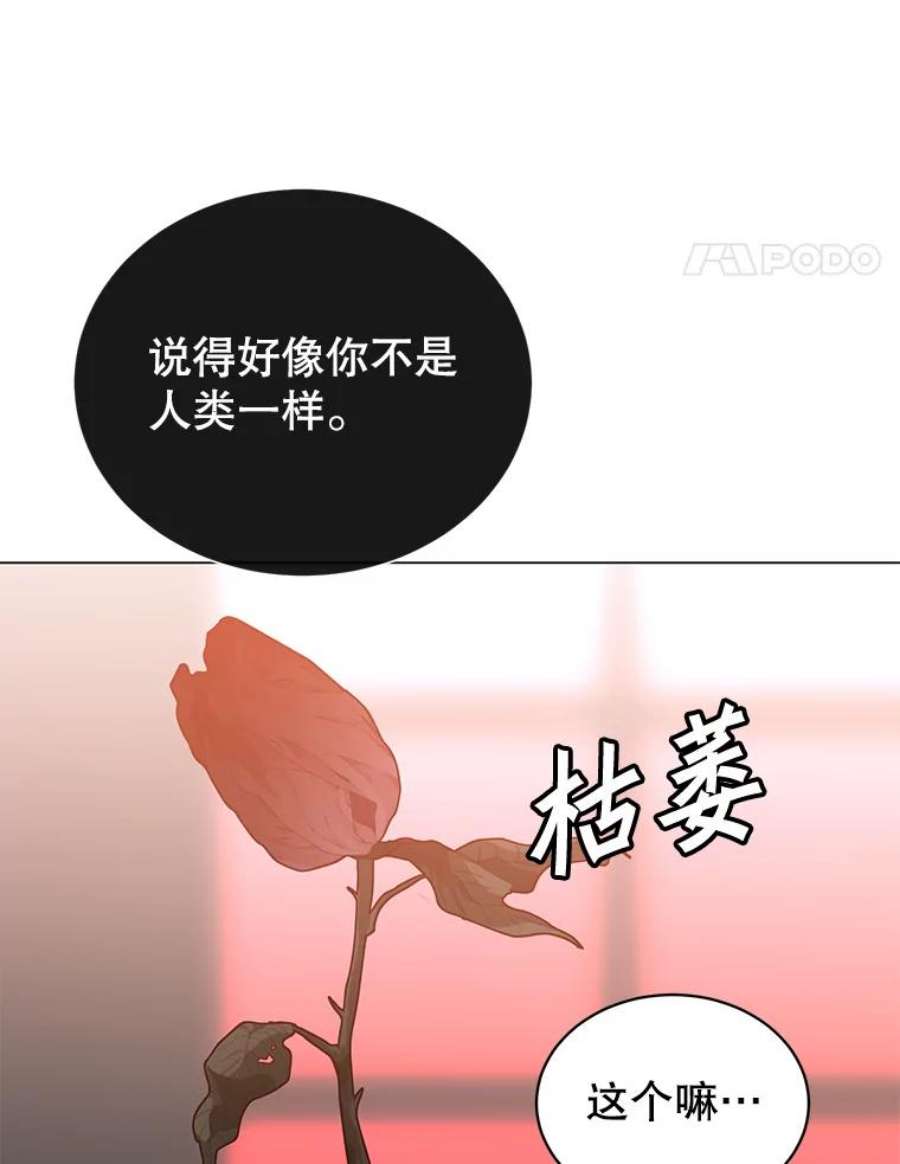 顶级英雄归来53.魔兽