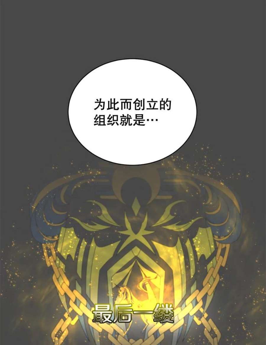 顶级英雄归来82.秘密骑士团