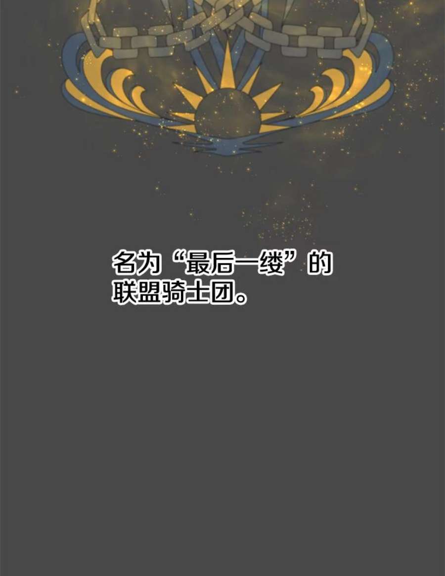 顶级英雄归来82.秘密骑士团