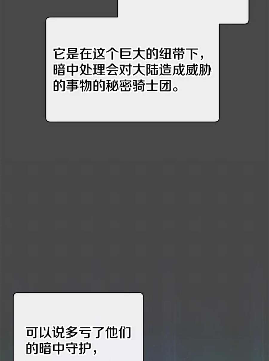 顶级英雄归来82.秘密骑士团