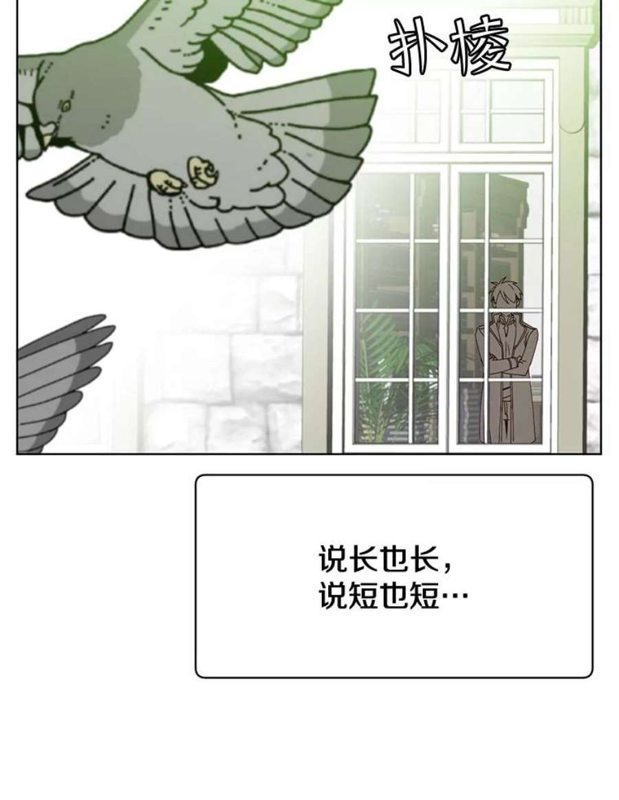 顶级英雄归来82.秘密骑士团