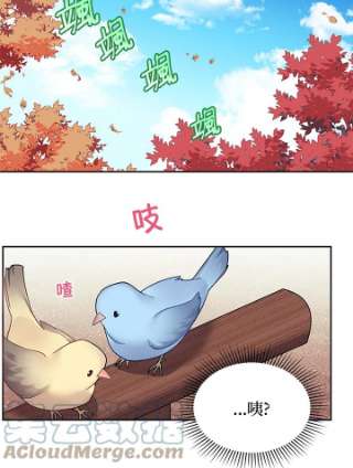 传令鸟公主殿下1话
