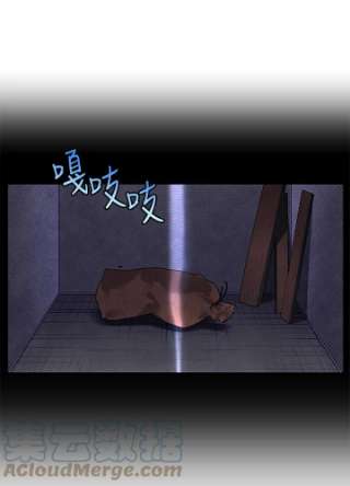 传令鸟公主殿下1话