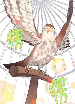 传令鸟公主殿下1话