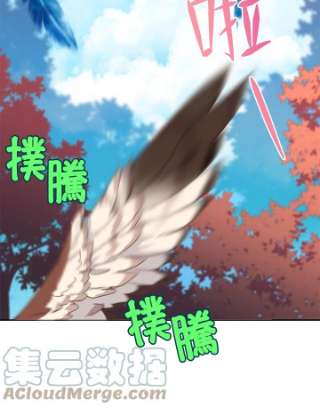 传令鸟公主殿下1话