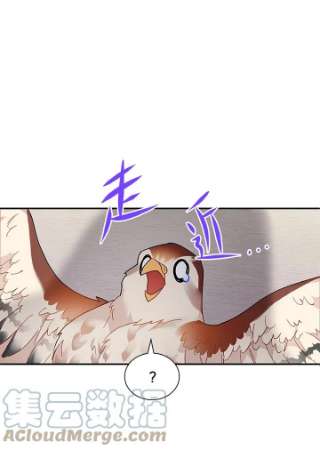 传令鸟公主殿下2话
