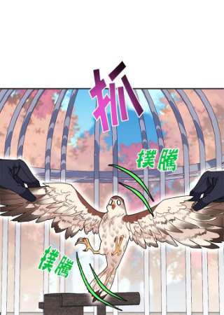 传令鸟公主殿下2话