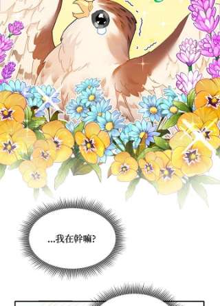 传令鸟公主殿下2话