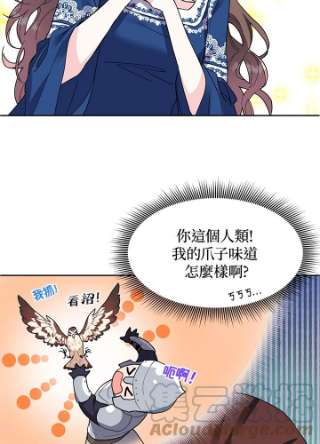 传令鸟公主殿下2话